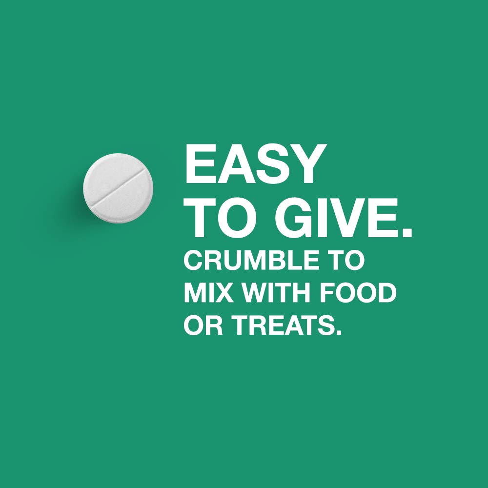 Praziquantel Tablets for Dogs 5 Count R9954