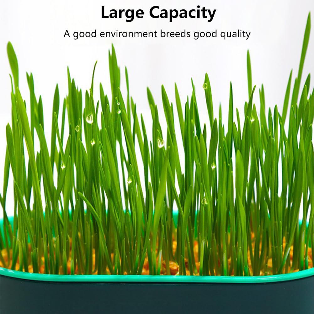 Cat Grass Planter Box, 3 Pcs Plastic Growing Trays B870868