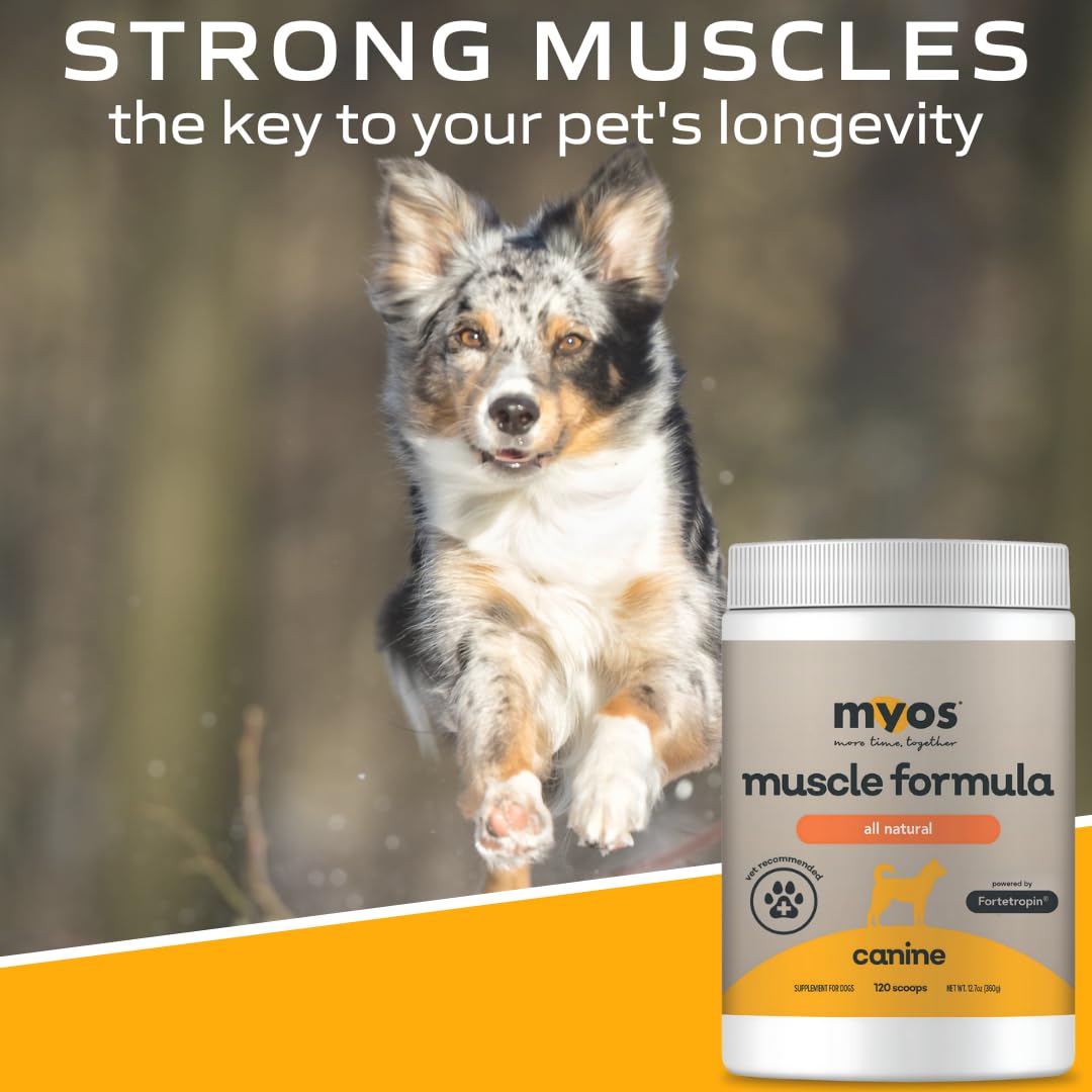 All-Natural Dog Muscle Formula 360g G21256