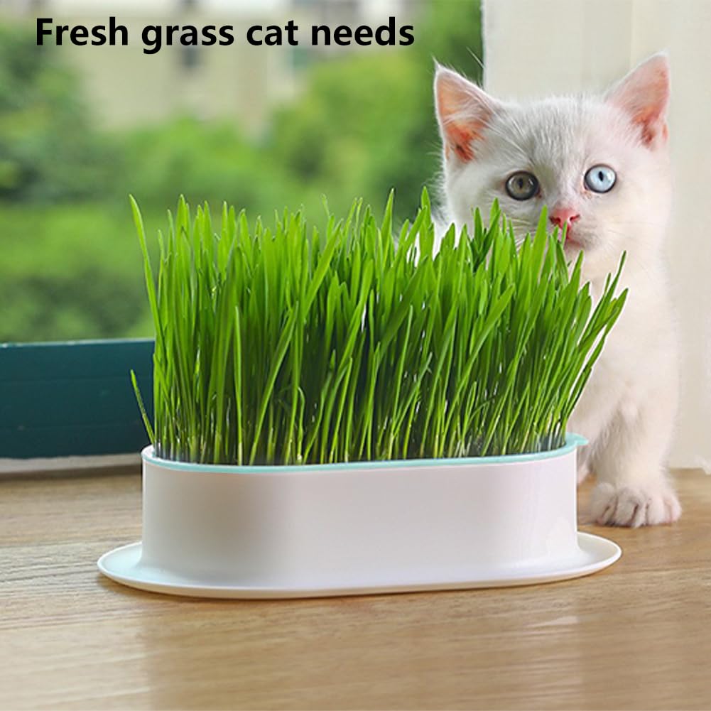 Cat Grass Planter Box, 3 Pcs Plastic Growing Trays B870868