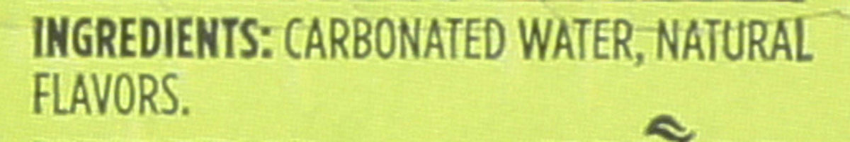 Lime Sparkling Water 12 Fl Oz B21072