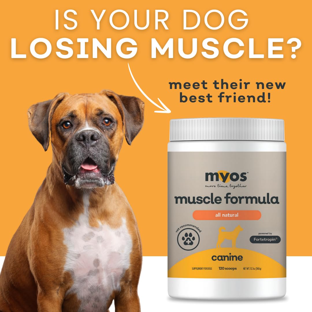 All-Natural Dog Muscle Formula 360g G21256