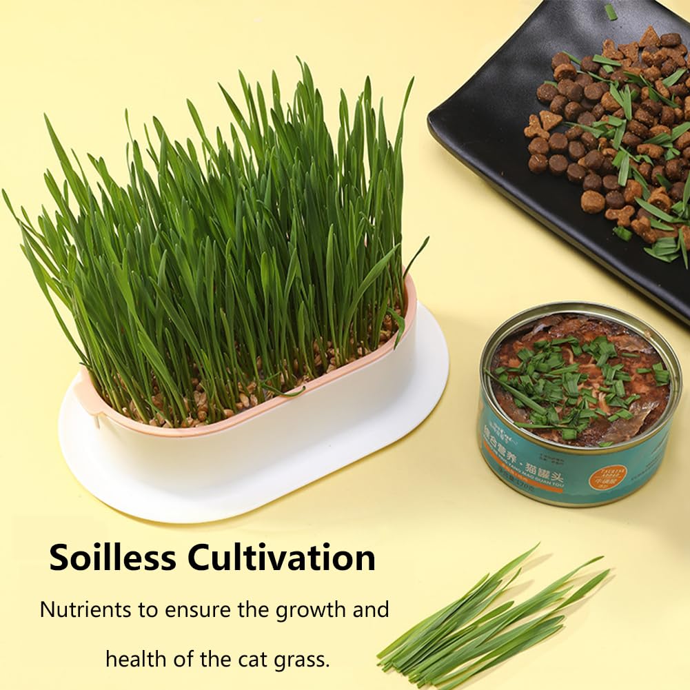 Cat Grass Planter Box, 3 Pcs Plastic Growing Trays B870868