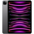 2022 iPad Pro 12.9-inch Wi-Fi + Cellular 256GB Space Gray V9570