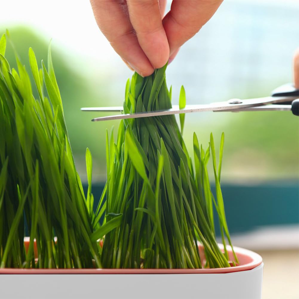 Cat Grass Planter Box, 3 Pcs Plastic Growing Trays B870868