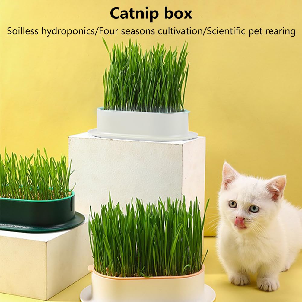 Cat Grass Planter Box, 3 Pcs Plastic Growing Trays B870868