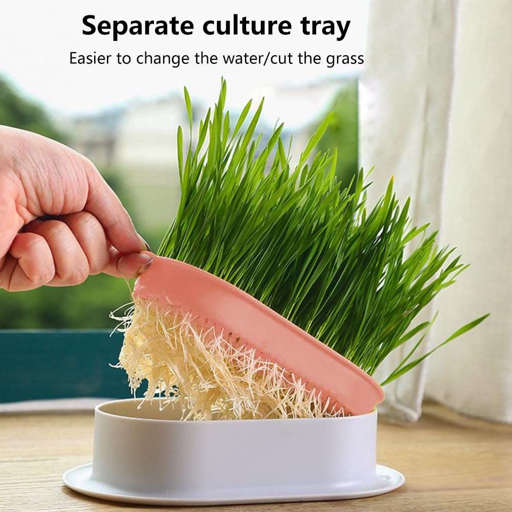 Cat Grass Planter Box, 3 Pcs Plastic Growing Trays B870868