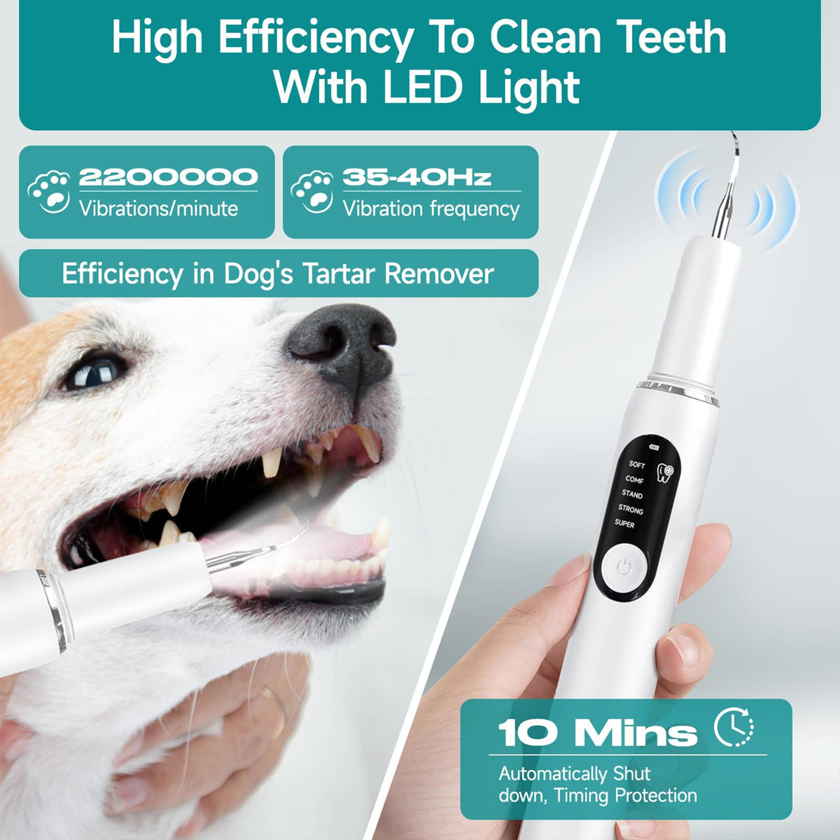 White Dog Teeth Cleaning Kit with LED Light C2925