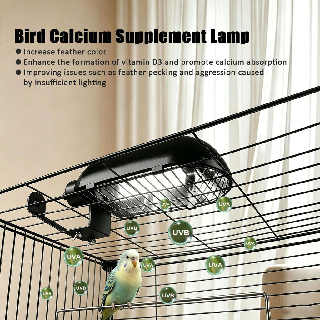 Bird Cage Light Fixture Combo Kit with Bulb E525345