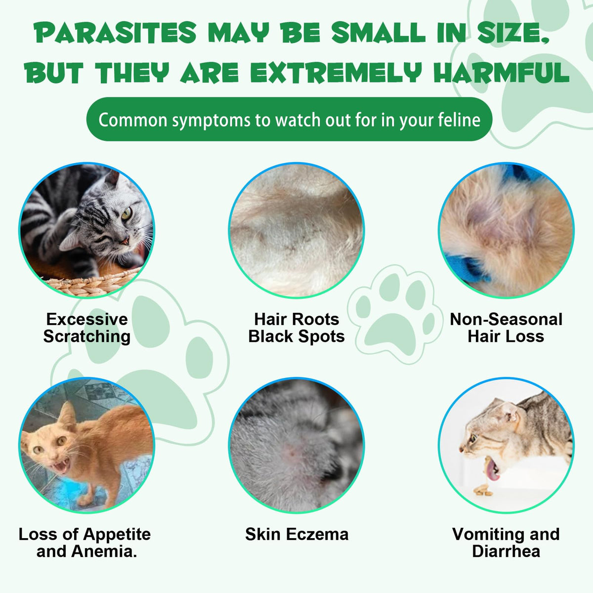 Natural Probiotic Digestive Support Supplement Drops for Cats F8263