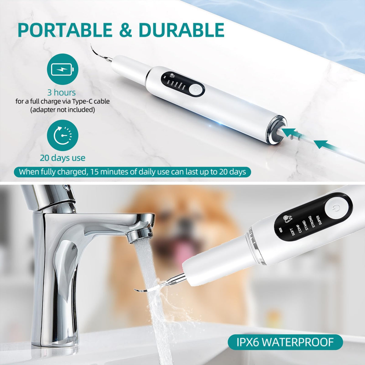 White Dog Teeth Cleaning Kit with LED Light C2925