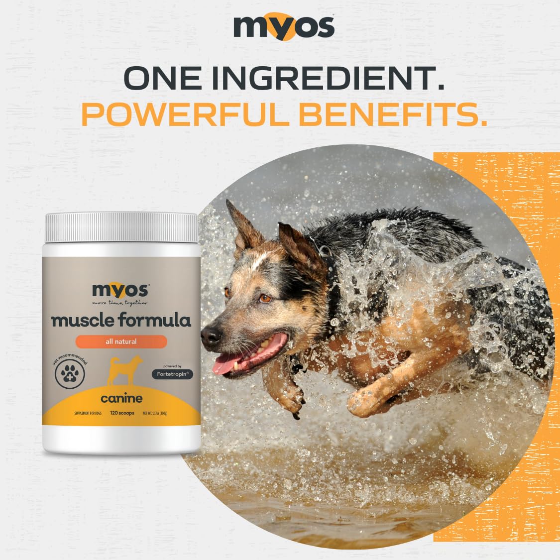 All-Natural Dog Muscle Formula 360g G21256