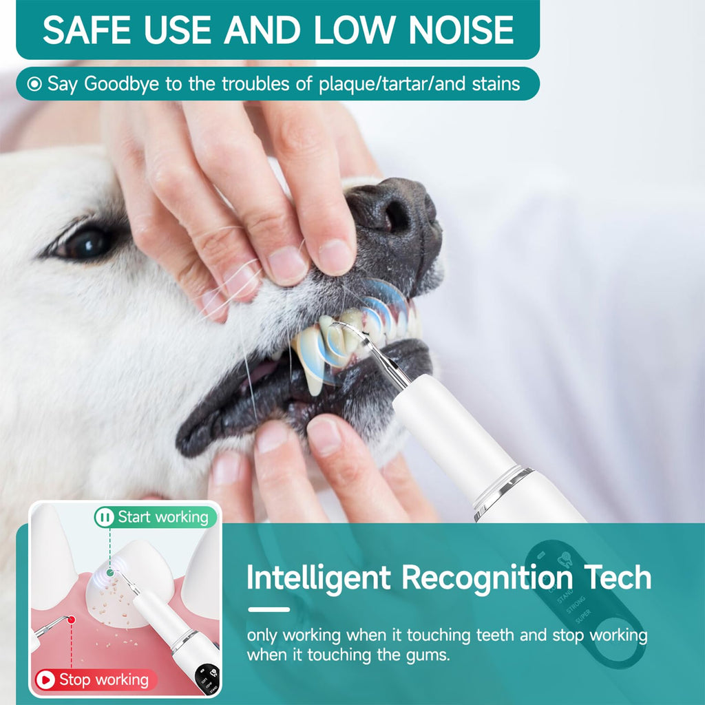 White Dog Teeth Cleaning Kit with LED Light C2925