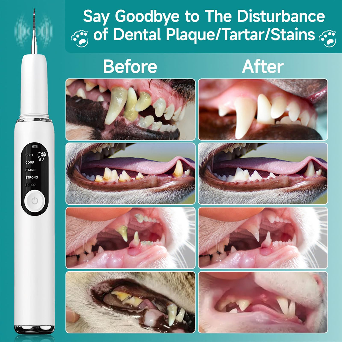 White Dog Teeth Cleaning Kit with LED Light C2925