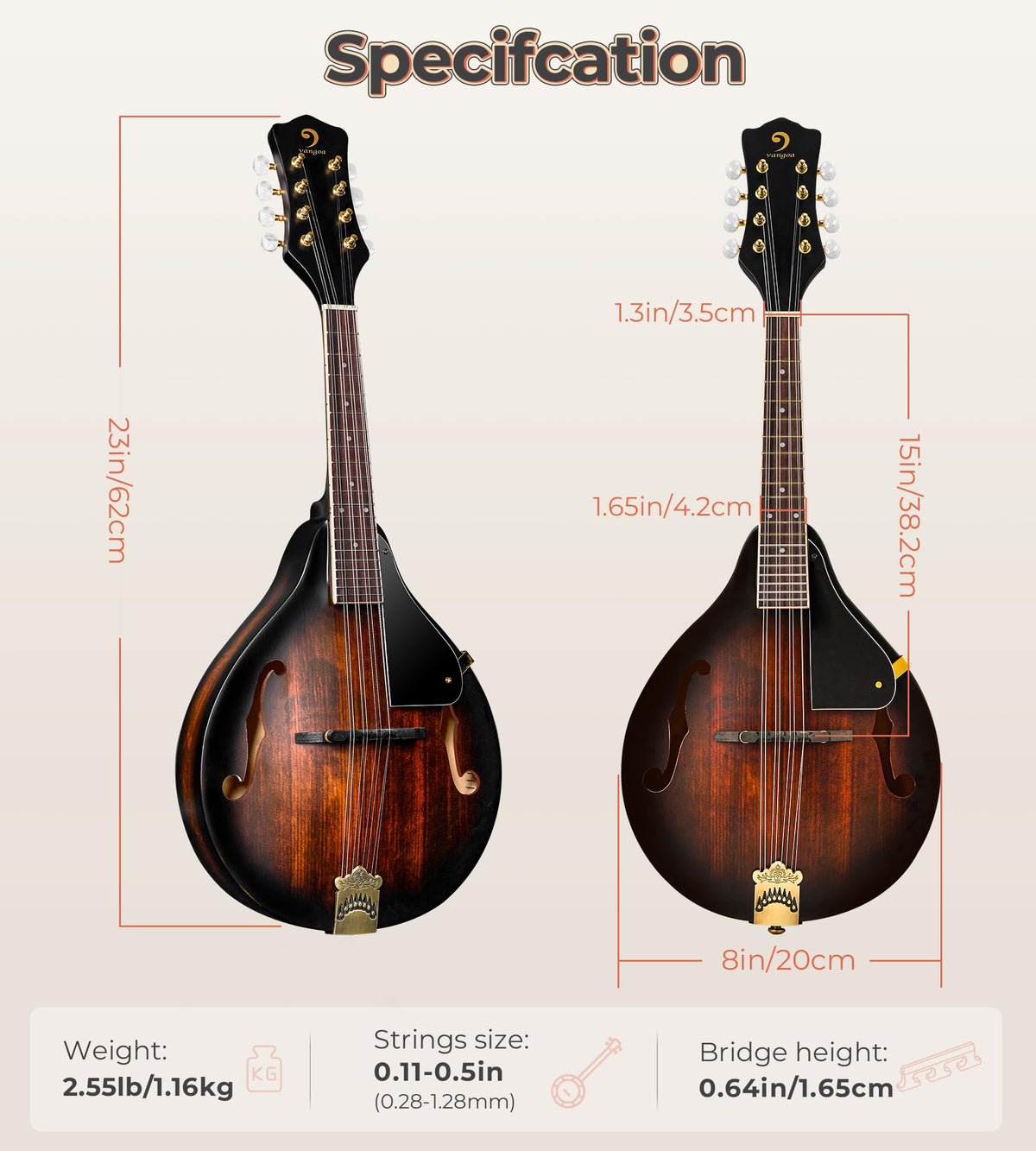 Acoustic Mandolin Instrument Solid Spruce Top 8 String Dark Brown H538