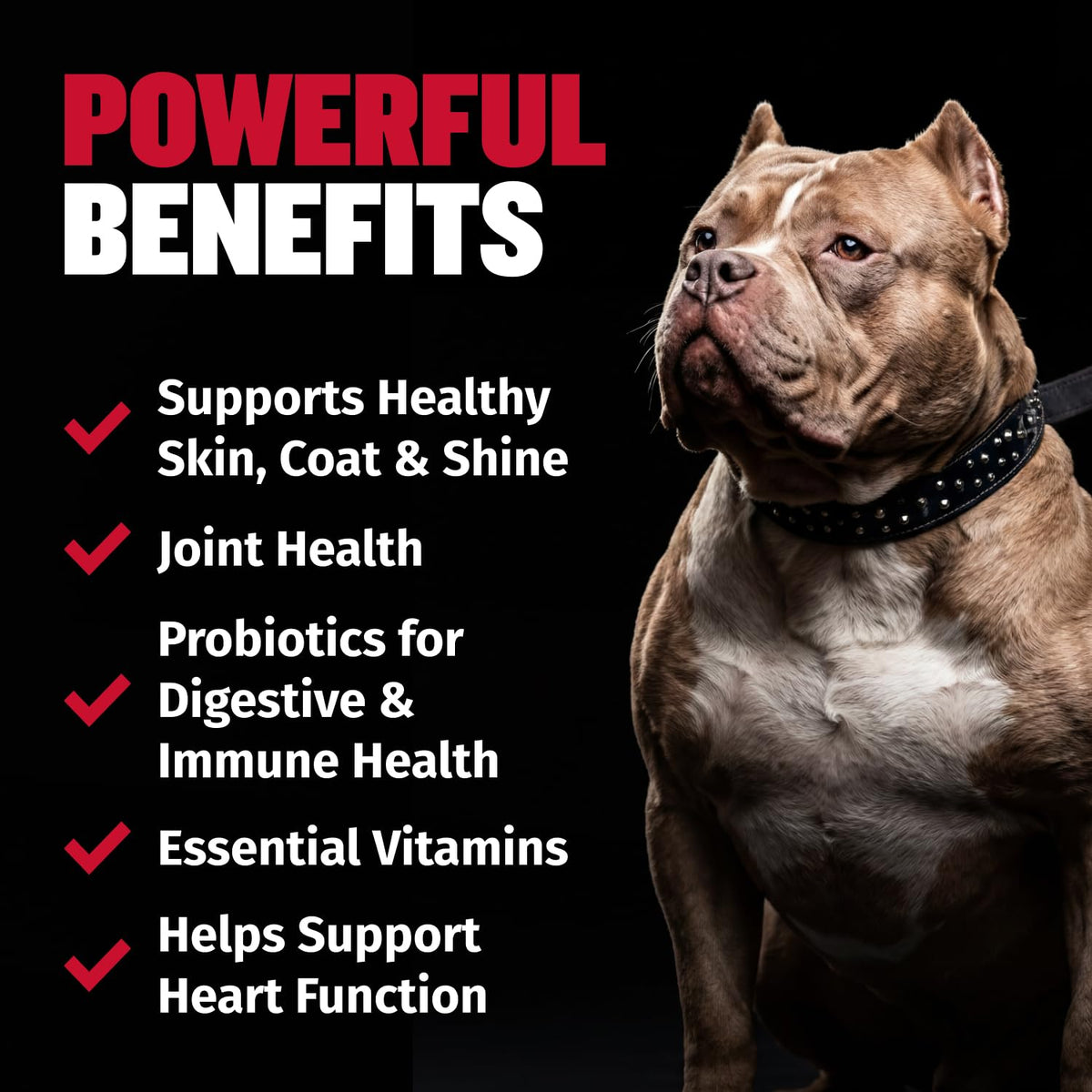 9-in-1 Dog Multivitamin 75 Soft Chews I306
