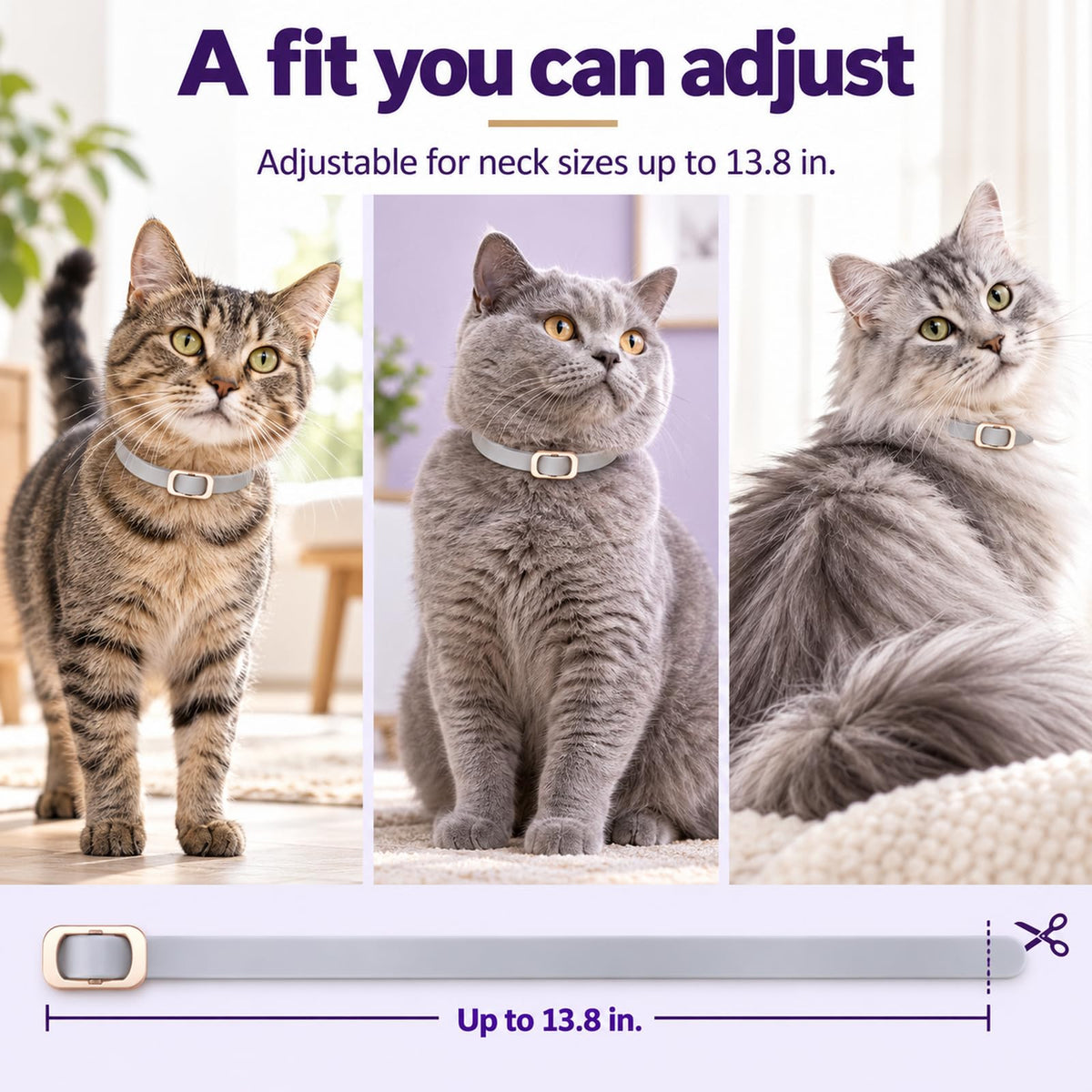 Flea and Tick Collar for Cats 4 Pack Gray W17040
