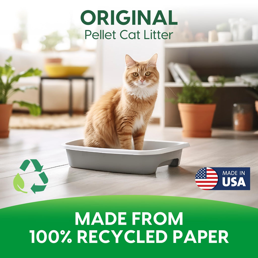 Recycled Paper Cat Litter, 12 Pound, Non-Clumping, Unscented N15384