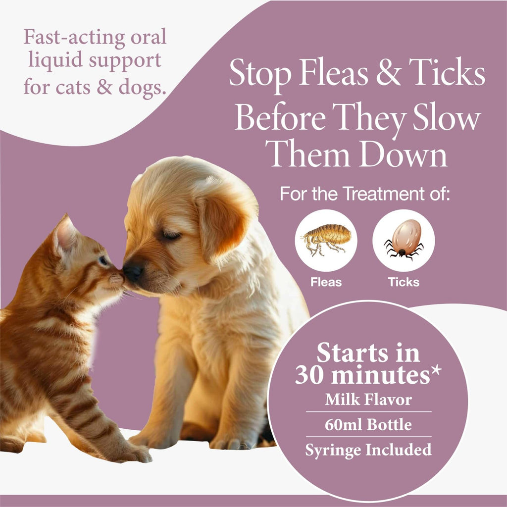 Flea & Tick Support for Cats & Dogs Oral Suspension Milk Flavor 60ml F717886