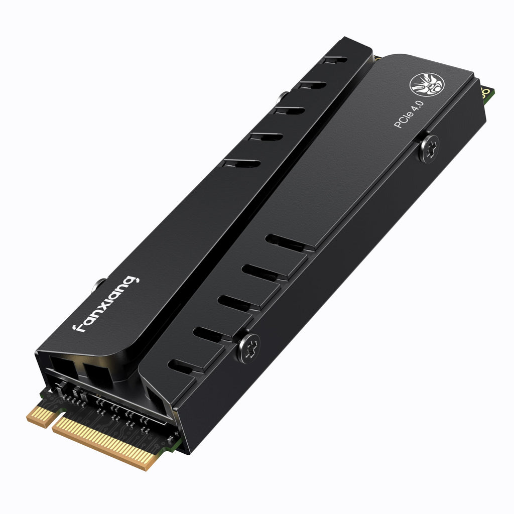 1TB NVMe M.2 SSD with Heatsink and DRAM W2533