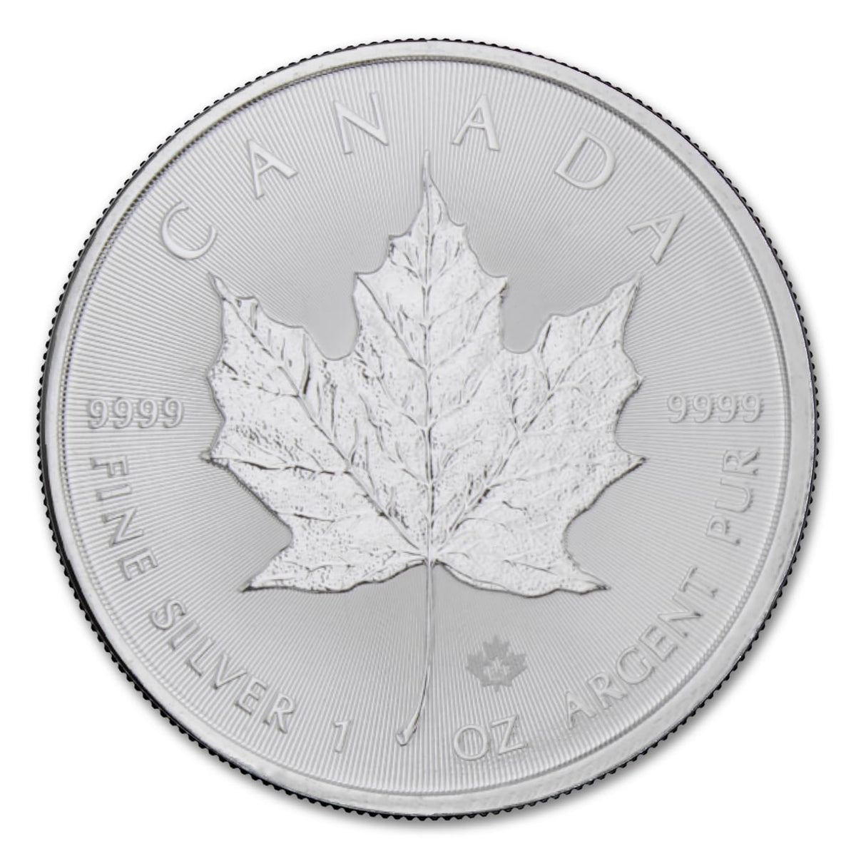 1 oz Canadian Maple Leaf Silver Coins Y5024