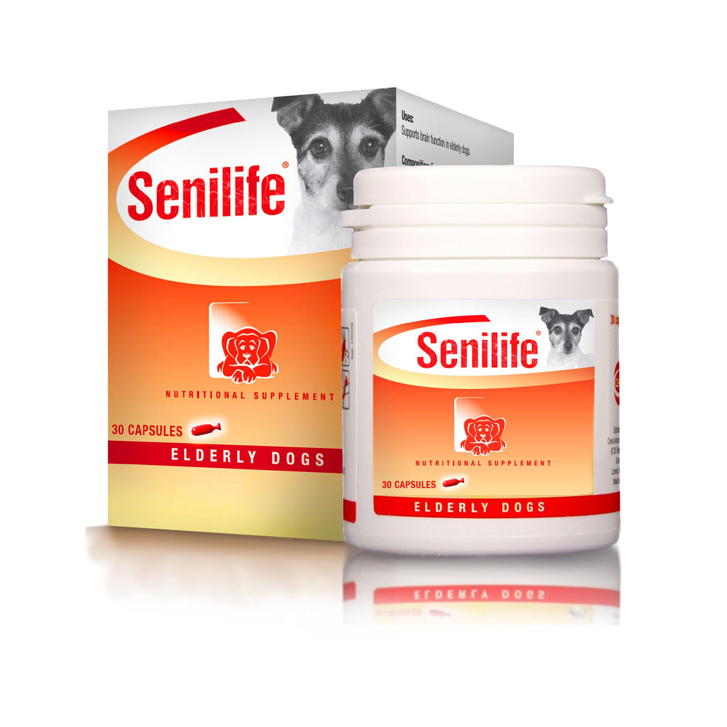 Cognitive Support Capsules for Senior Dogs, 30 Capsules C792226
