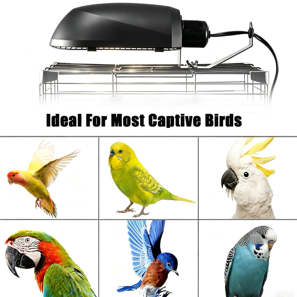 Bird Cage Light Fixture Combo Kit with Bulb E525345
