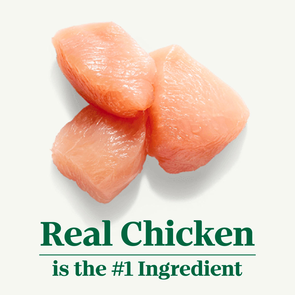 Chicken Dry Cat Food, 3 lb Q730502