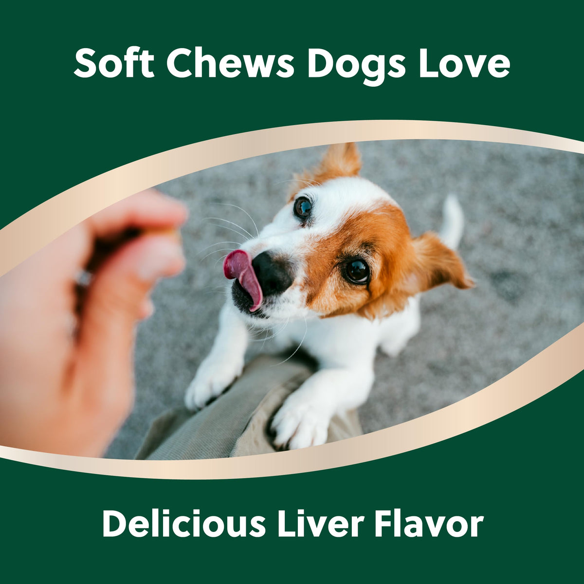 Soft Chews for Dogs with Glucosamine, MSM, UC-II Collagen & Omega-3s, 120 Soft Chews U292223