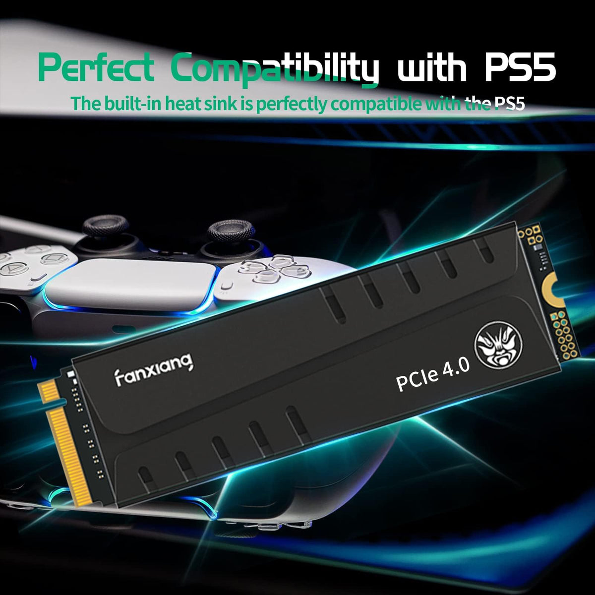 1TB NVMe M.2 SSD with Heatsink and DRAM W2533