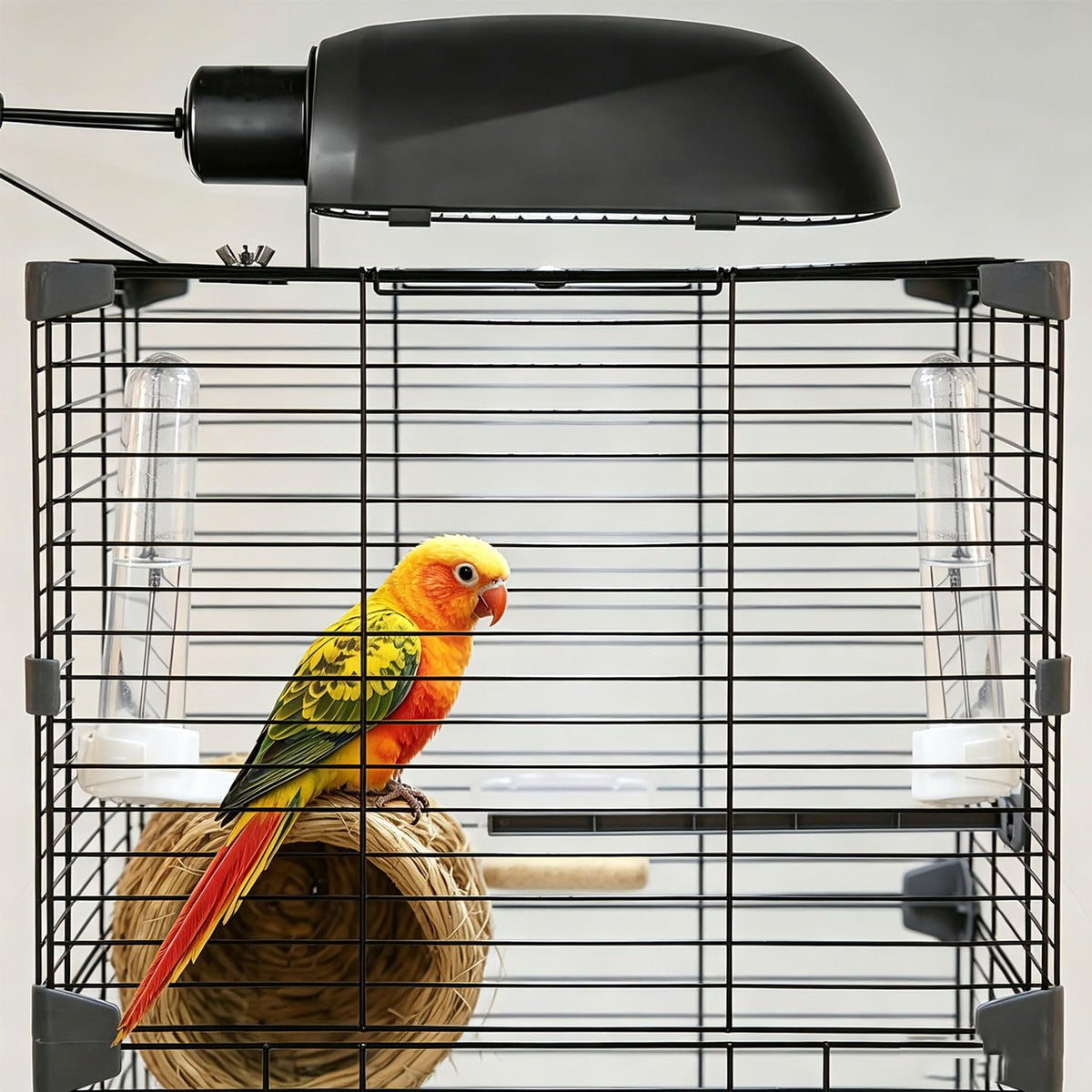 Bird Cage Light Fixture Combo Kit with Bulb E525345
