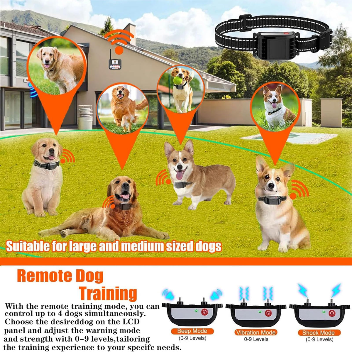 Wireless Dog Fence & Electric Training Collar with Remote C16881