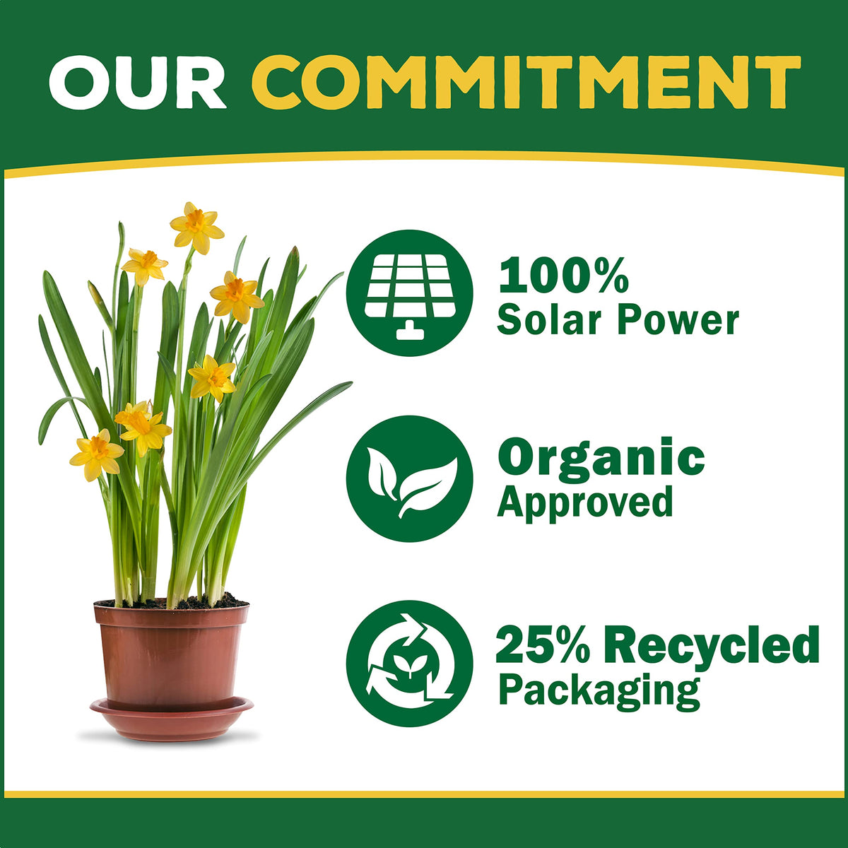Organic Concentrated Plant Food Z124