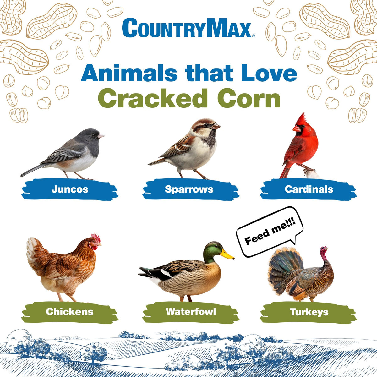 20LB Cracked Corn Chicken Feed I876552