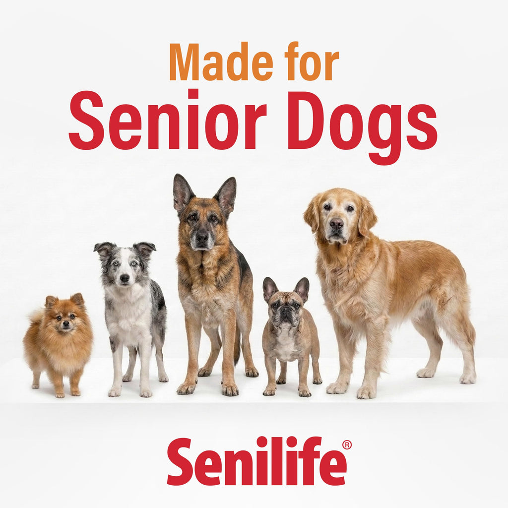 Cognitive Support Capsules for Senior Dogs, 30 Capsules C792226