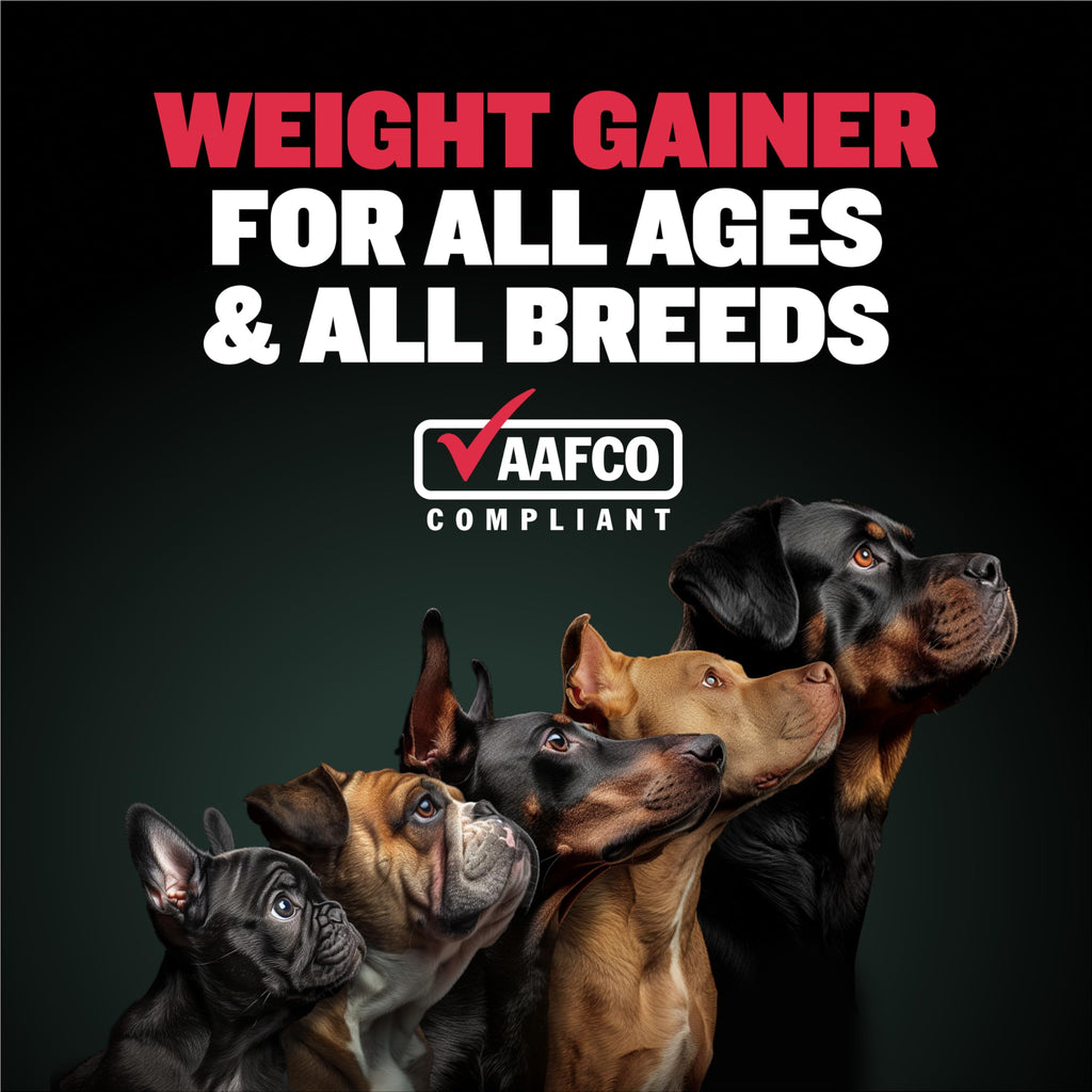 Dog Weight Gainer Soft Chews Liquid Gel Supplement & Muscle Builder Power Tabs Bundle U3271