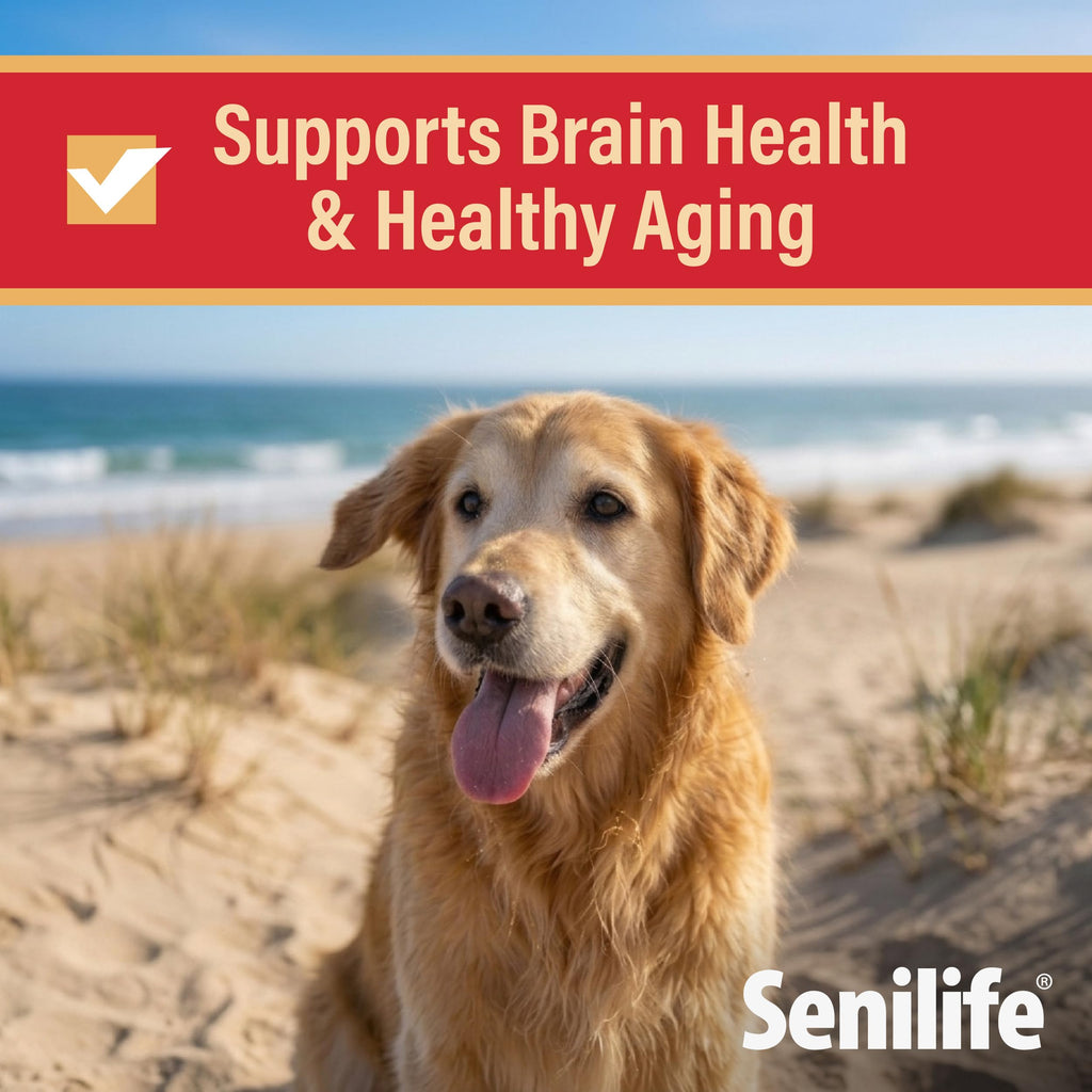 Cognitive Support Capsules for Senior Dogs, 30 Capsules C792226