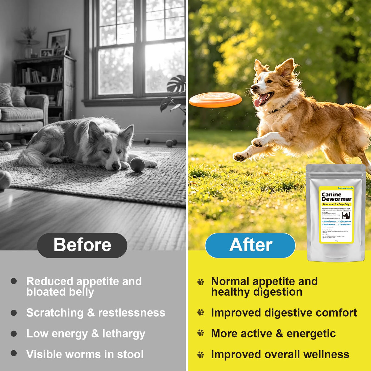 Dewormer for Dogs 100g Q130779