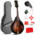 Acoustic Mandolin Instrument Solid Spruce Top 8 String Dark Brown H538