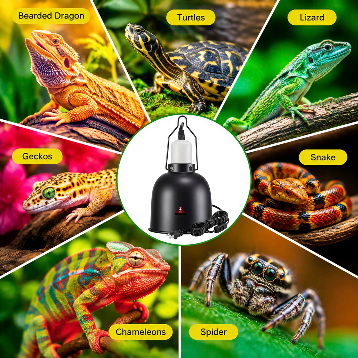 Ceramic Socket Reptile Heat Lamp Kit R6020