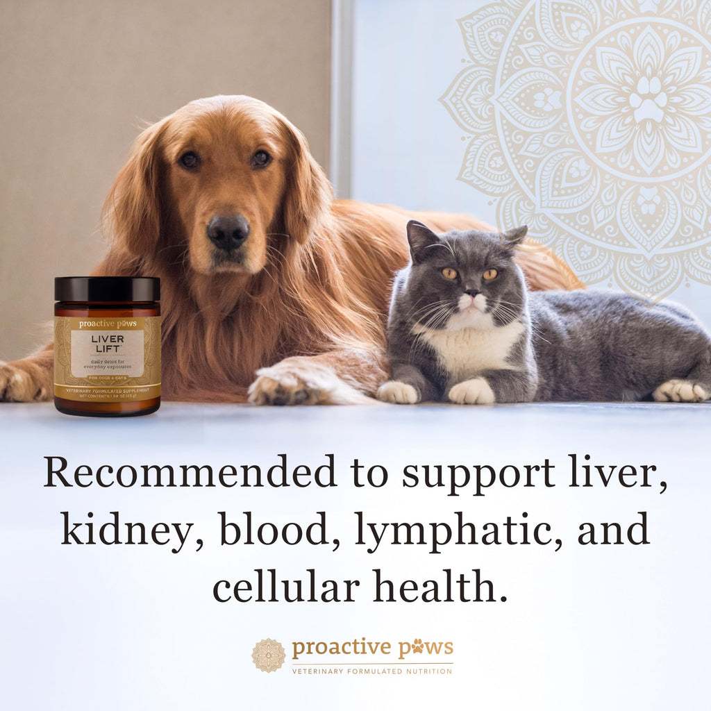 Dog & Cat Daily Detox N831