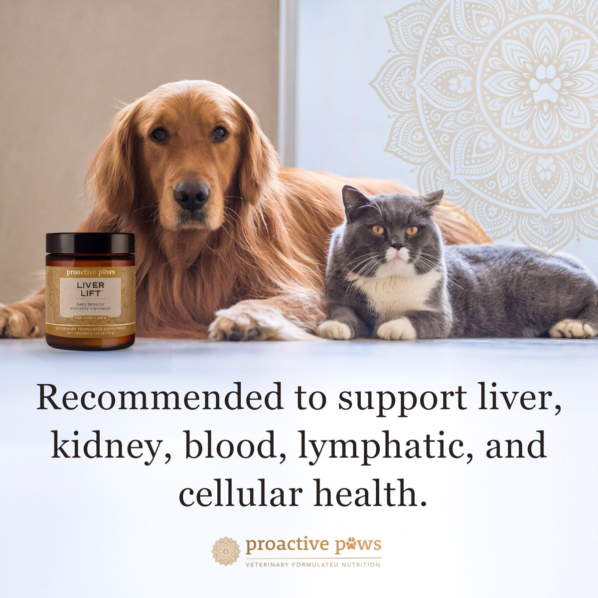 Dog & Cat Daily Detox N831