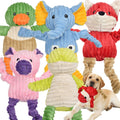 5 Pack Stuffed Squeaky Plush Dog Toys O4368