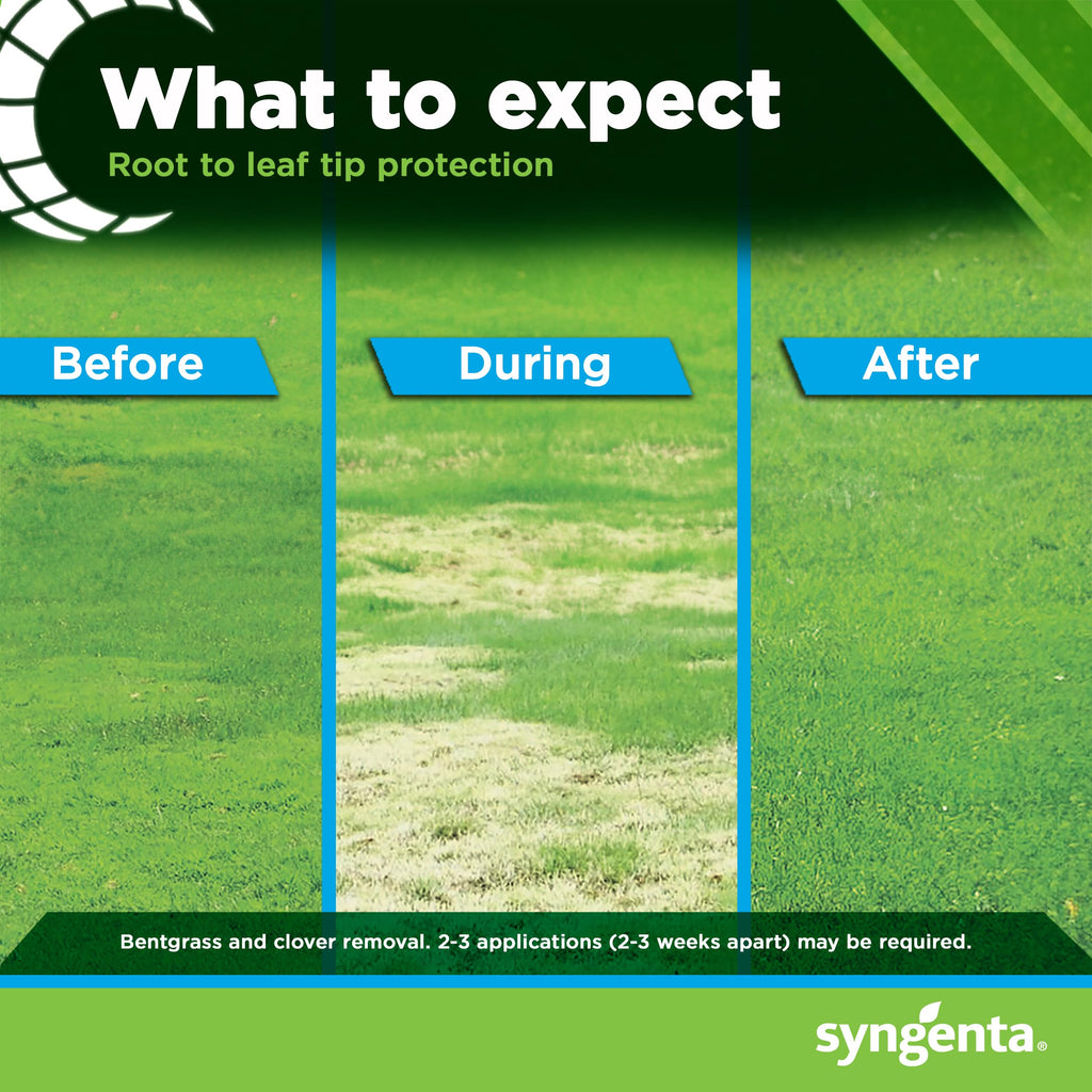 8oz Herbicide E8777