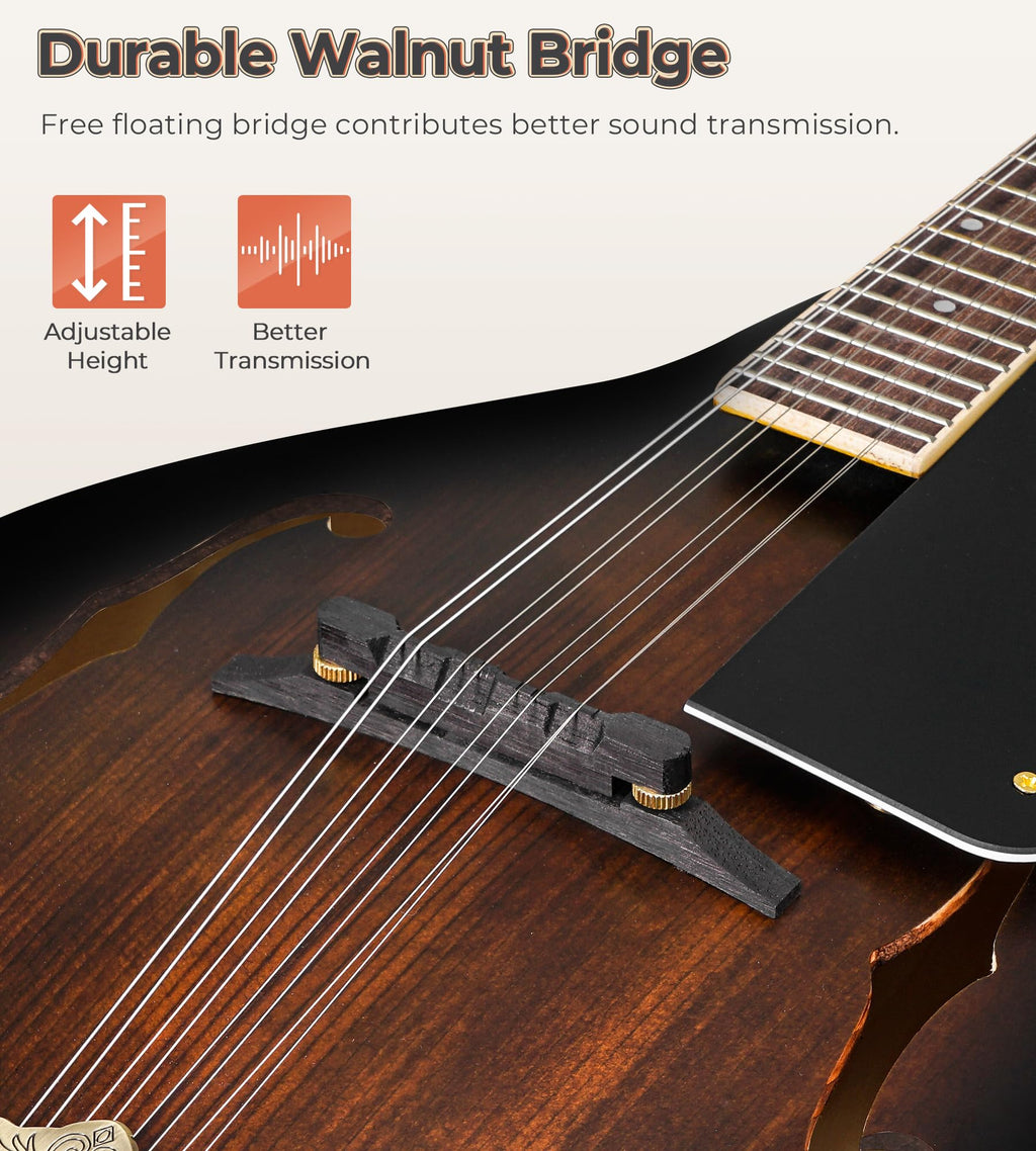 Acoustic Mandolin Instrument Solid Spruce Top 8 String Dark Brown H538