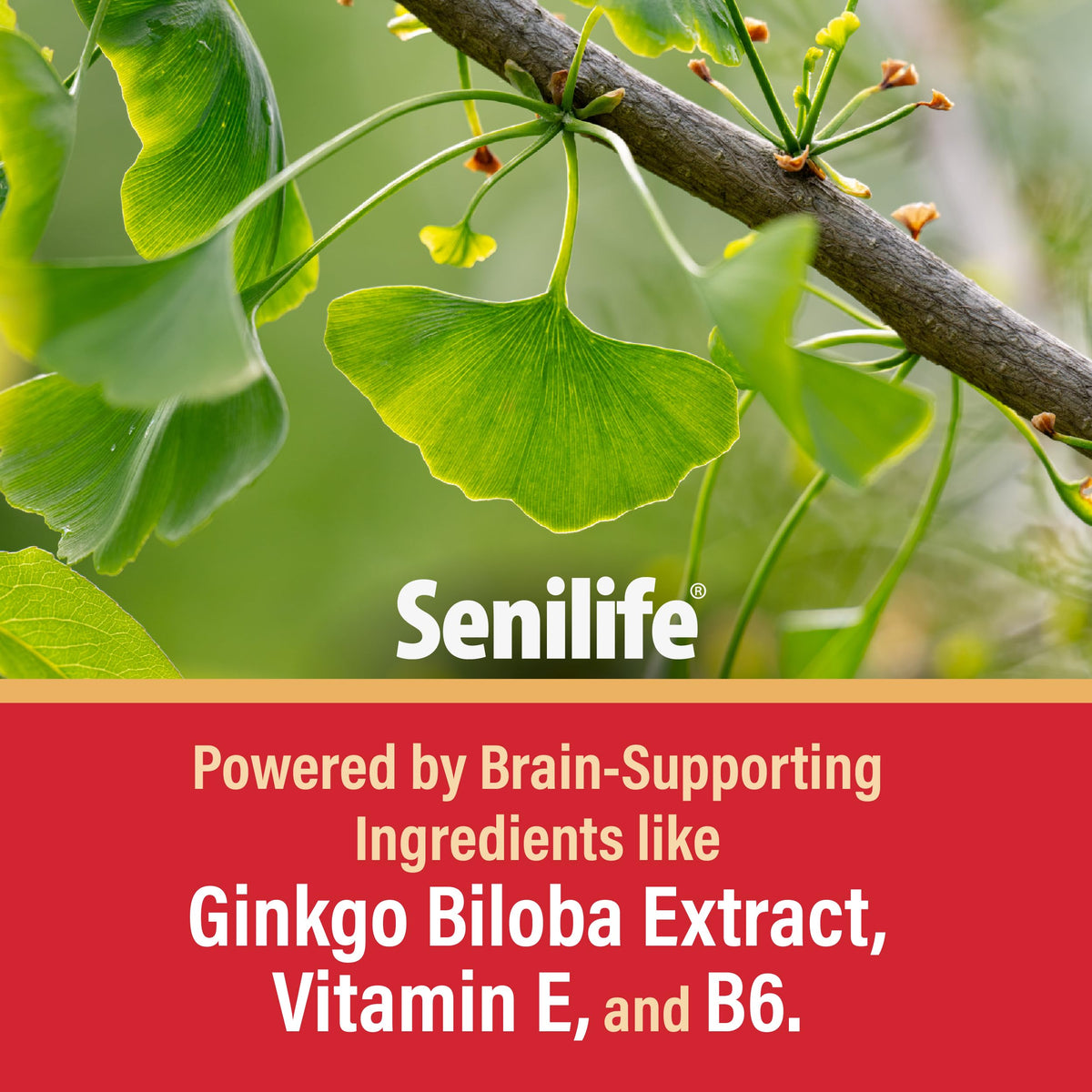 Cognitive Support Capsules for Senior Dogs, 30 Capsules C792226