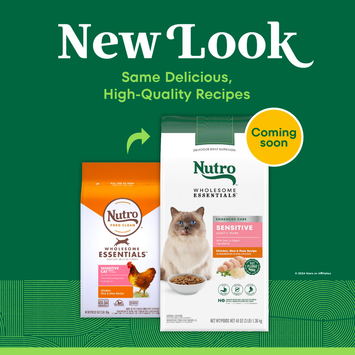 Chicken Dry Cat Food, 3 lb Q730502