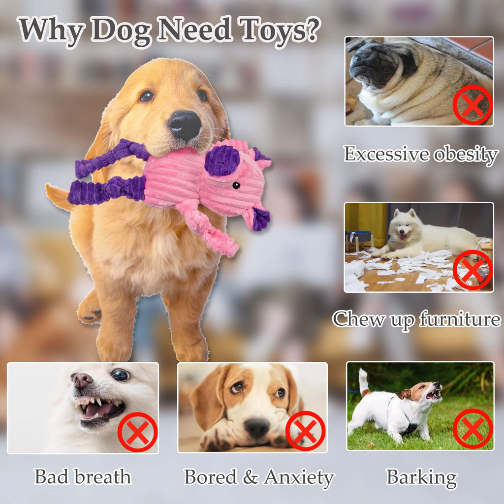 5 Pack Stuffed Squeaky Plush Dog Toys O4368