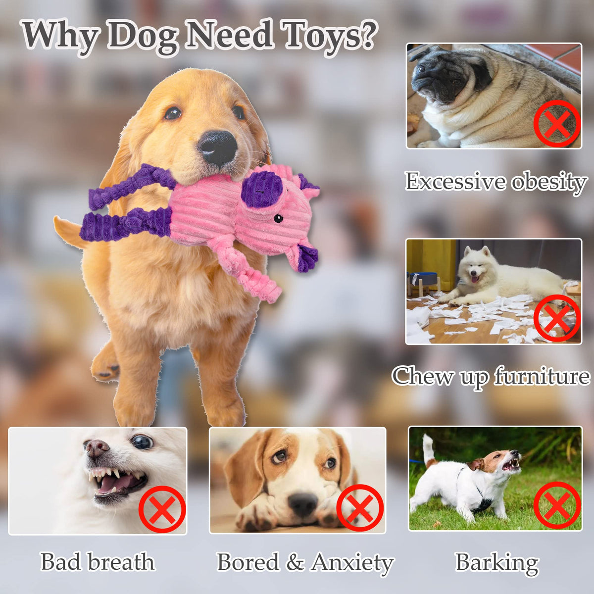 5 Pack Stuffed Squeaky Plush Dog Toys O4368