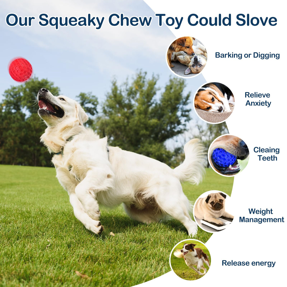 2 Pack Rubber Dog Chew Balls X9915